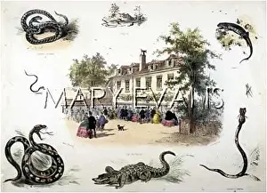 Acclimatation: PARIS ZOO - REPTILES