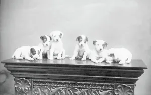 Mantelpiece: A Parish Council 1894
