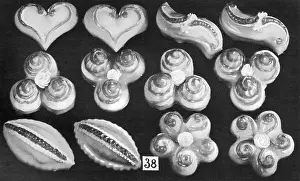 Bonbons: Parisian Dessert Bonbons