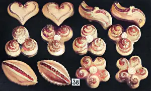Bonbons: Parisian Dessert Bonbons