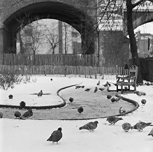 Pathways: Park in Camden, London