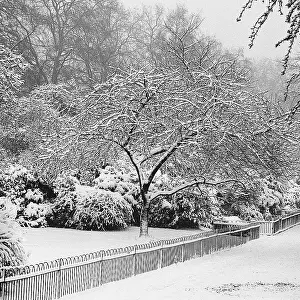 Snowfall: Park under heavy snow, London