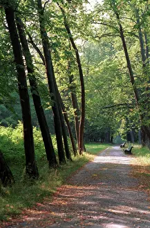 Oranienbaum: Park in Oranienbaum, 1997