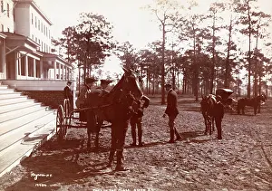 Aiken: Park in the Pines
