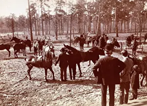 Aiken: Park in the Pines