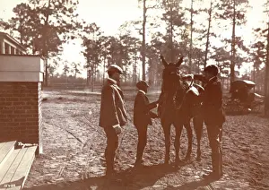 Aiken: Park in the Pines