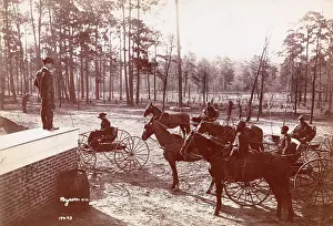 Aiken: Park in the Pines