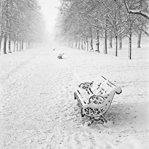 Snowfall: Park in the snow