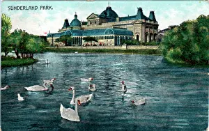 Durham: The Park, Sunderland, County Durham