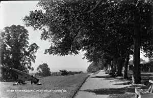 Cannons: Park Walk in Shaftesbury