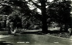 Sunbeam: The Park, Weybridge, Surrey