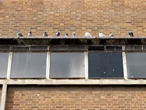Overhanging: Parkway Cinema, Eldon Street, Barnsley, Barnsley, Barnsley