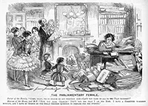 Reversal: The parliamentary female