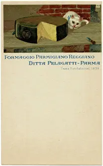 Parmigiano: Parmesan Cheese - Advertorial Trade Postcard