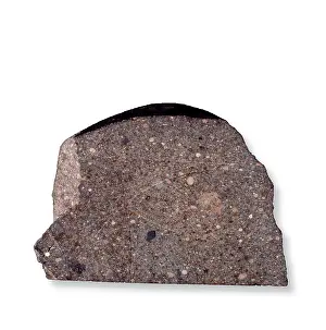 Ordinary: The Parnalle ordinary chondrite