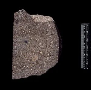 Ordinary: Parnallee LL3.6 ordinary chondrite