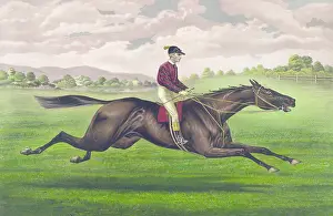 Leamington: Parole: brown gelding, by Imp. Leamington, dam Maiden by Lex