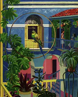 Brightly: Parrot Balcony