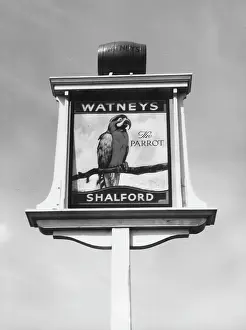 Shalford: PARROT INN SIGN