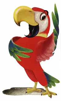 Bday: Parrot as Orator