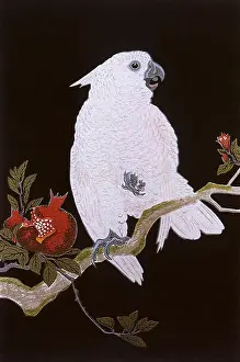 Parakeet: Parrot and Pomegranate