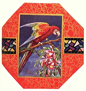 Marbled: Parrot in the Window