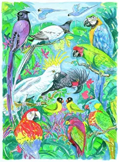 Cockatoo: Parrots and Foliage