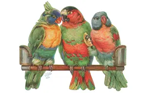 Bowley: Three parrots on a perch