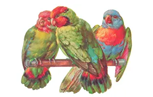 Bowley: Three parrots on a perch