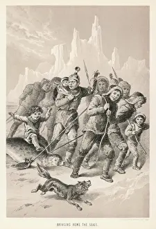 Parry: PARRY/SEAL HUNT