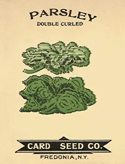 Parsley: Parsley Seed Packet