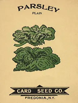 Parsley: Parsley Seed Packet