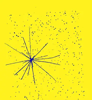 Accelerator: Particle Tracks