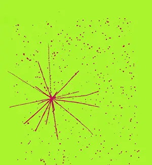 Detector: Particle Tracks