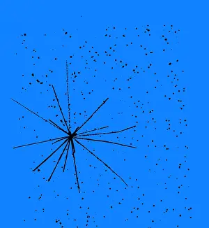 Detector: Particle Tracks