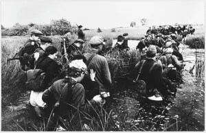 Strangers: PARTISANS IN MARSHES