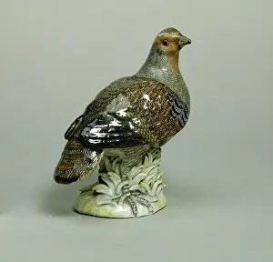 Partridge: Partridge