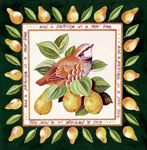 Partridges: A Partridge In A Pear Tree