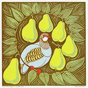 Pear: Partridge in a Pear Tree