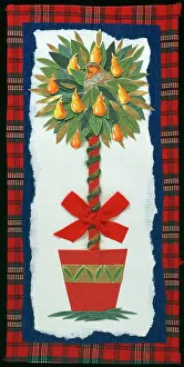 Mclaughlin: Partridge in a Pear Tree ? in a red pot