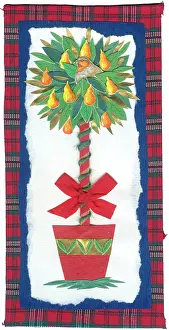 Mclaughlin: Partridge in Pear Tree with tartan border