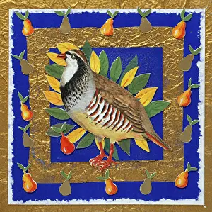 Mclaughlin: Partridge surrounded by pears