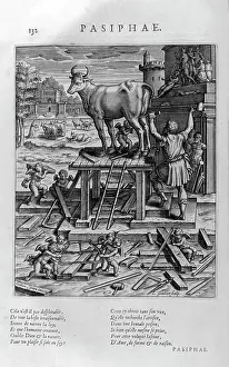 Able: Pasiphae, mother of the minotaur
