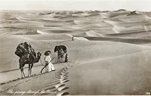 Bedouins: Passage Through the Desert