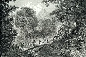 Crevaux: Passage sur des Troncs d'Arbres