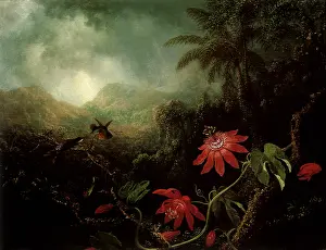 Passionflower: Passionflowers and Birds