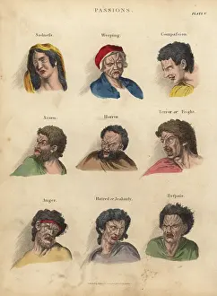 Smellie: Passions from Physiognomy