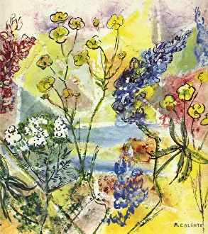 Colgate: Pastel Flowers