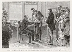 Supervises: PASTEUR VACCINATION