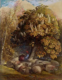 Bodycolour: Pastoral with a Horse Chestnut Tree